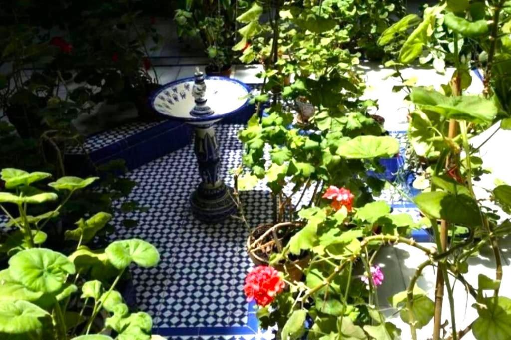 Conteros Centro Appartement Sevilla
